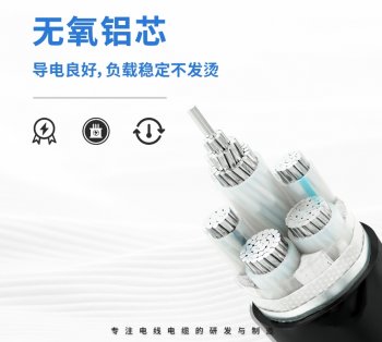 無(wú)氧鋁芯電力電纜